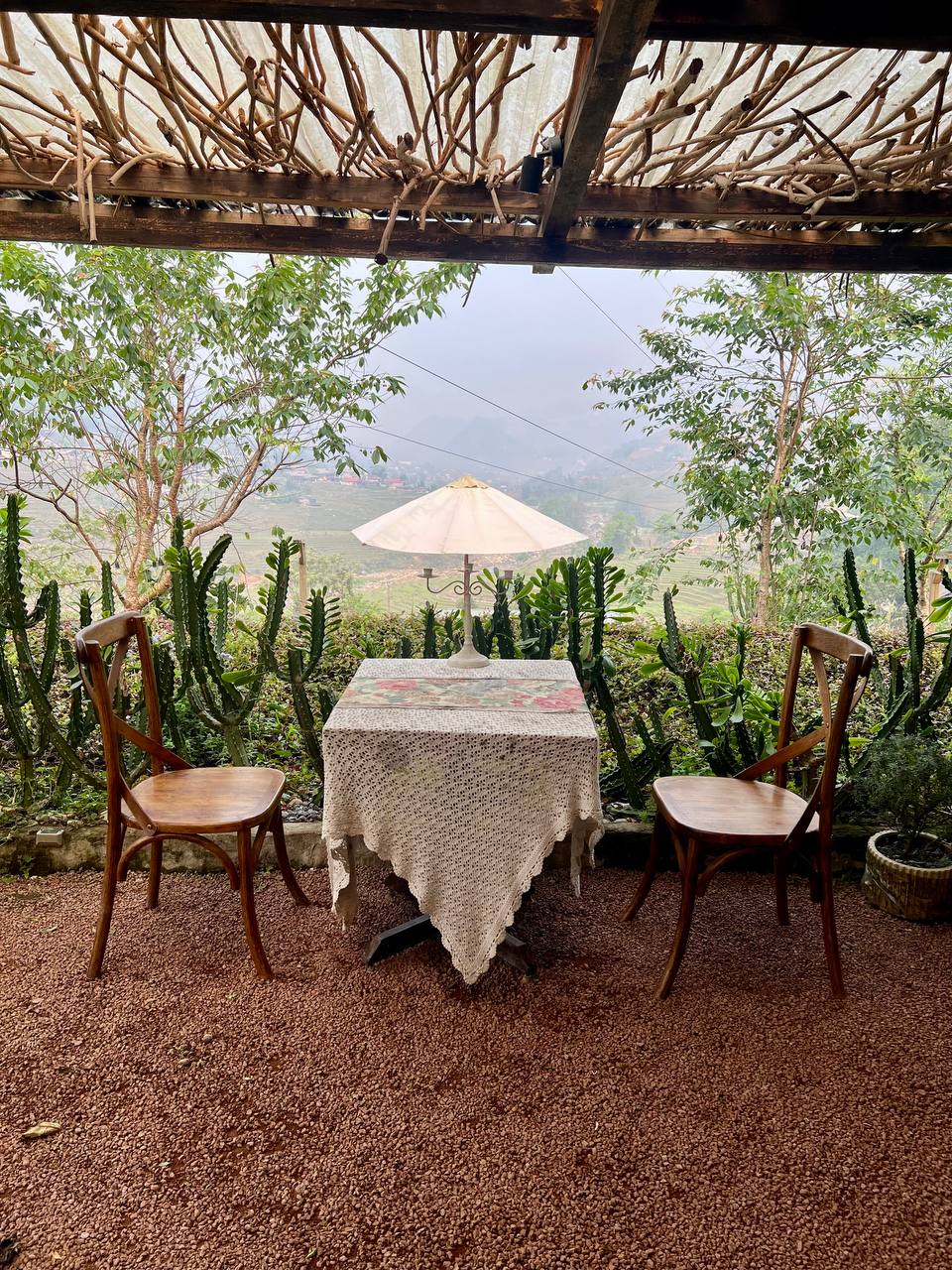 Mountain view seating at Pavi Cafe — the valley below, cactus and pine